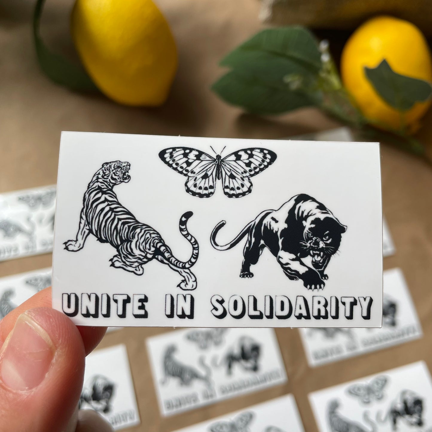 Unite In Solidarity | Sticker