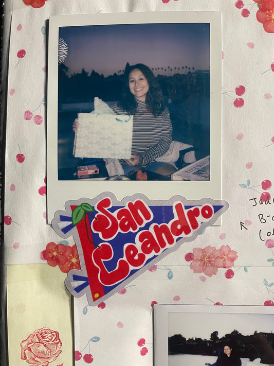San Leandro Banner | Sticker