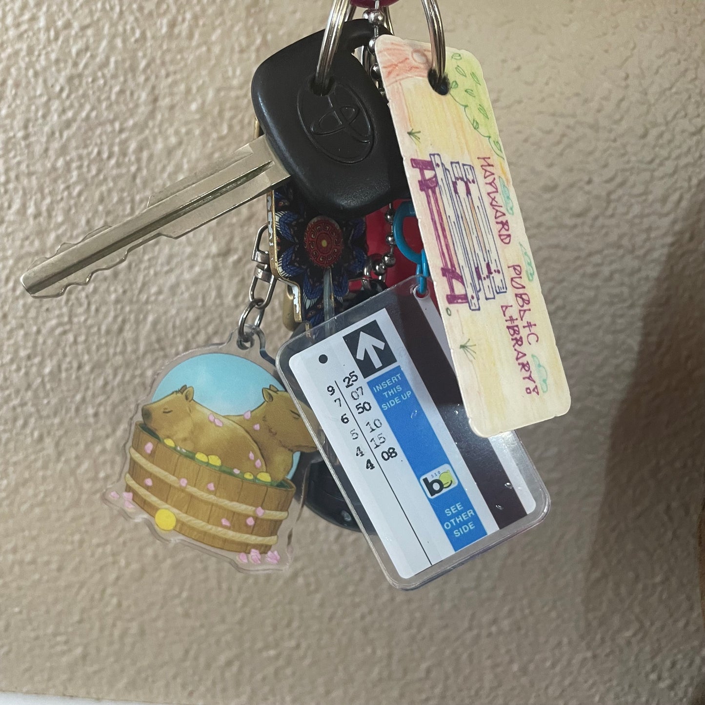 Cvs Photo Keychain App Cvs Photo Cardstock At Spencer Gilligan