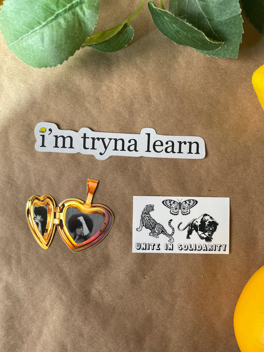 I'm Tryna Learn | Sticker