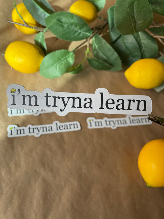 I'm Tryna Learn | Sticker