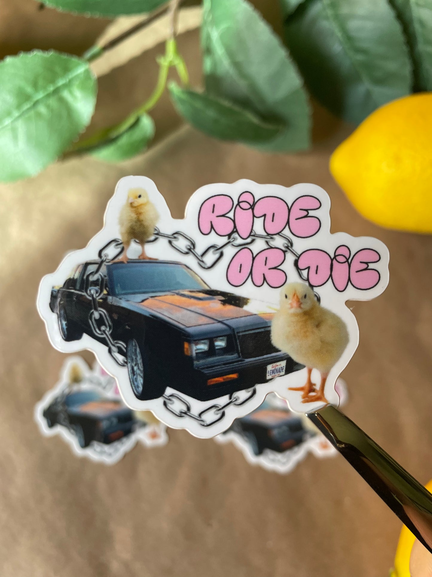 Ride or Die Chick | Sticker