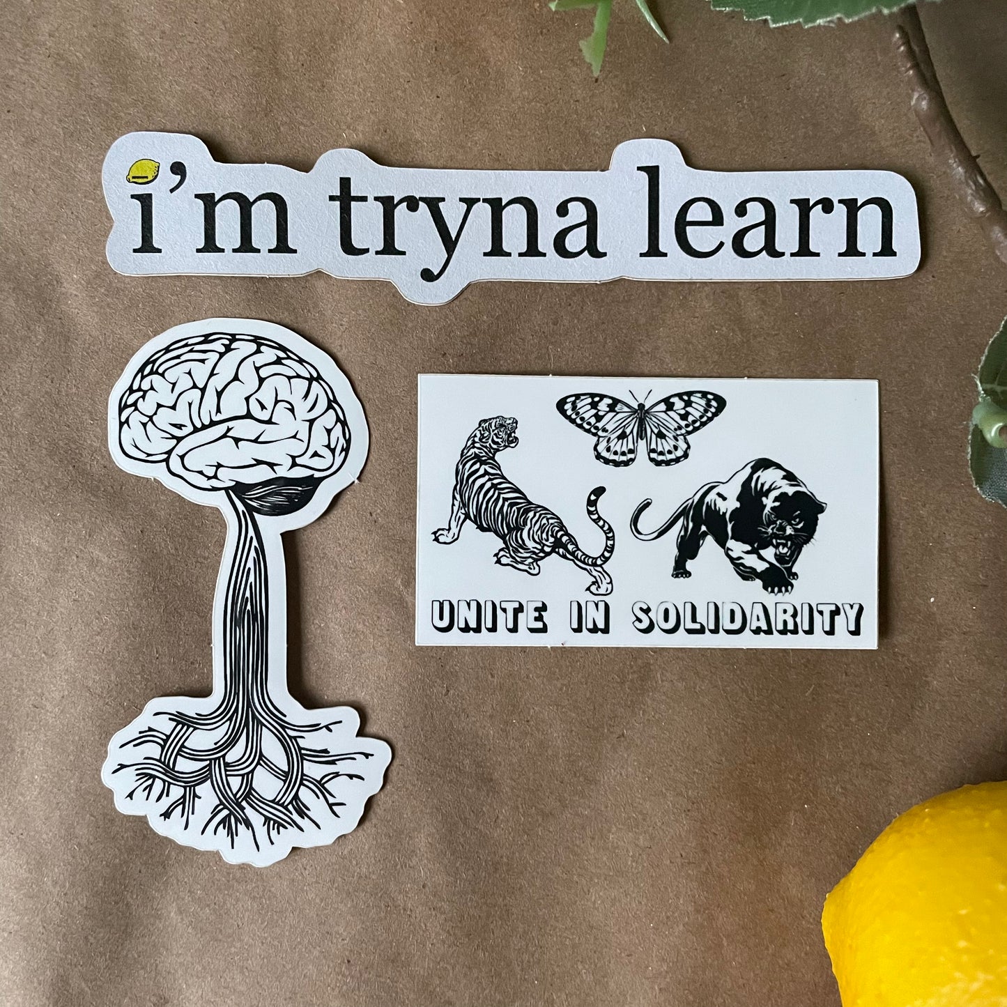 Rooted | Sticker