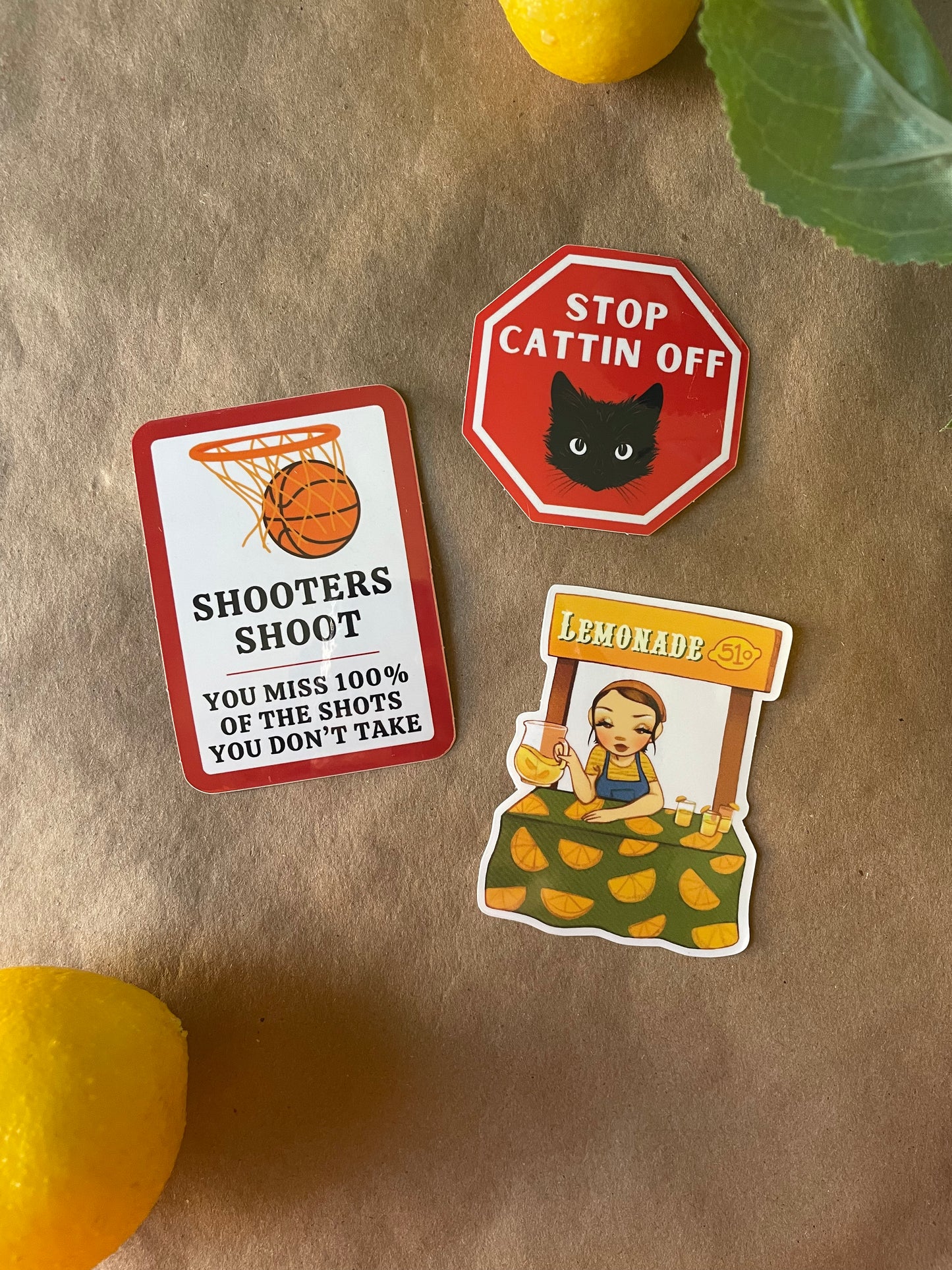 Stop Cattin Off | Sticker