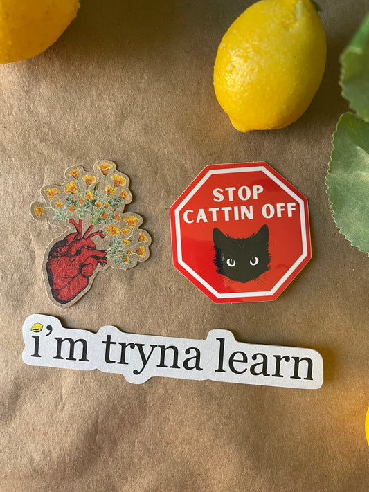 Stop Cattin Off | Sticker