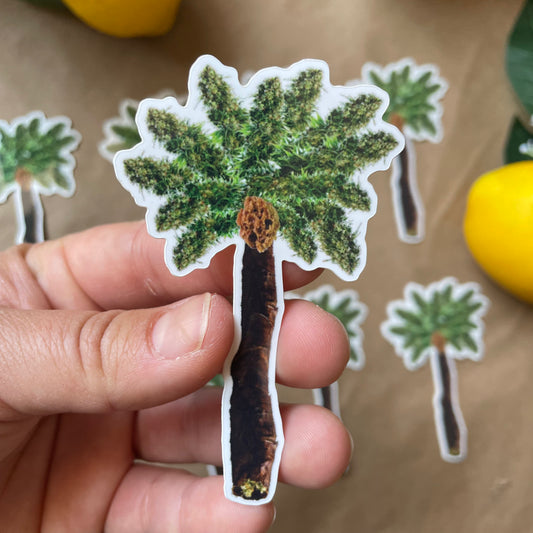 Top Shelf (Weed Palm Tree) | Sticker