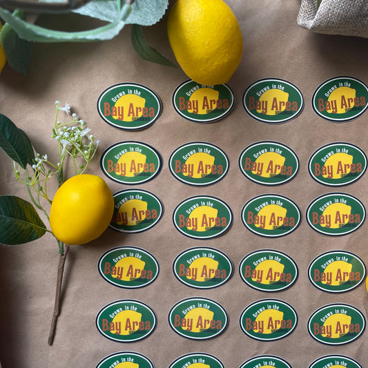 Grown in the Bay Area | Sticker