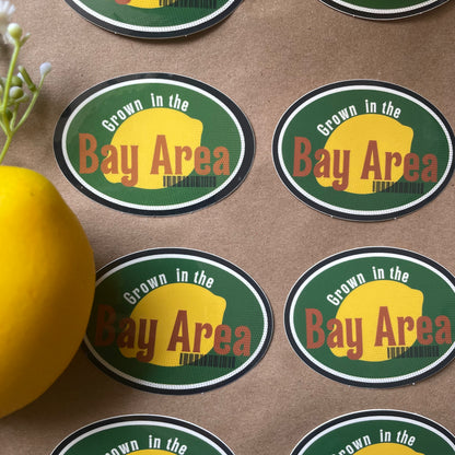 Grown in the Bay Area | Sticker