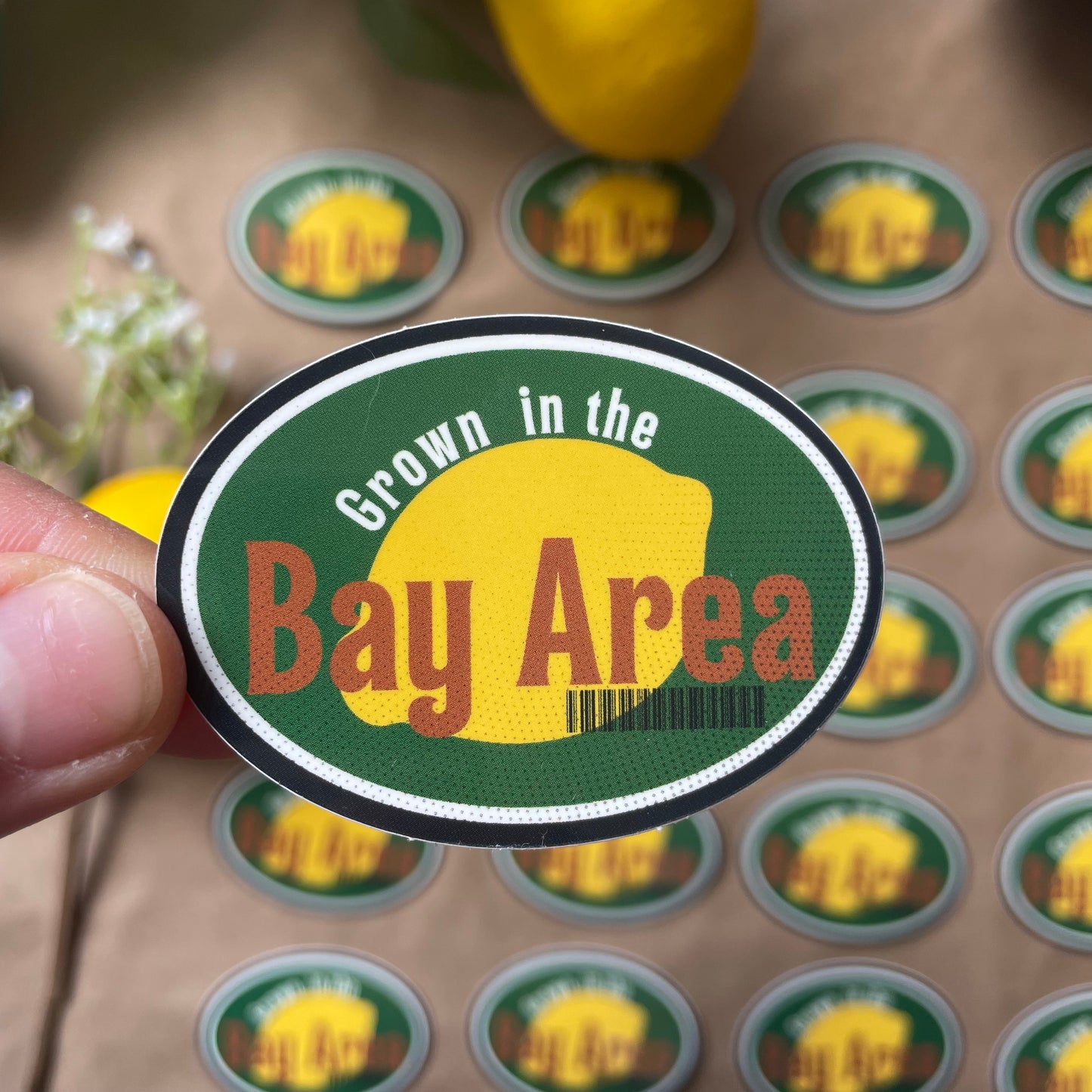 Grown in the Bay Area | Sticker