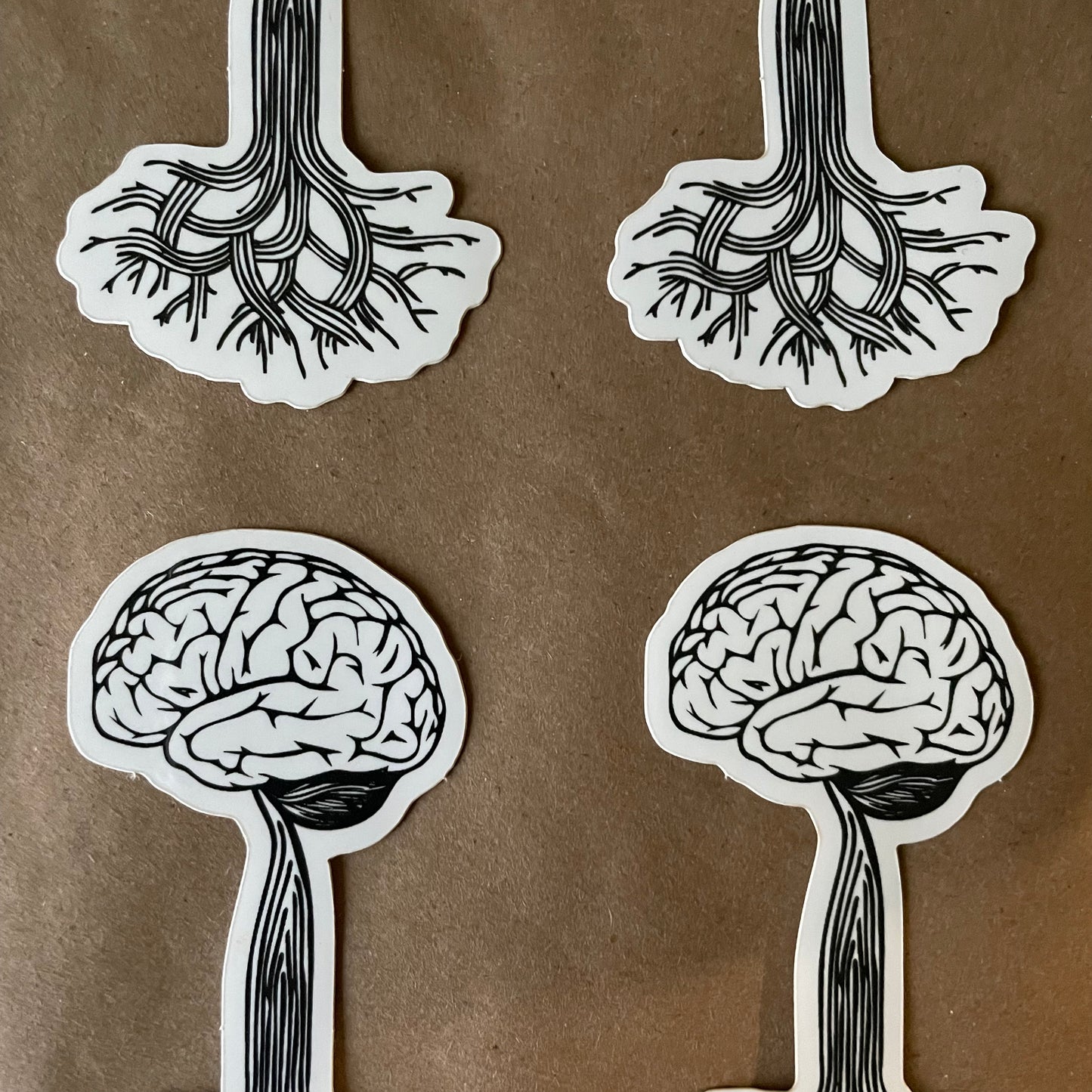 Rooted | Sticker